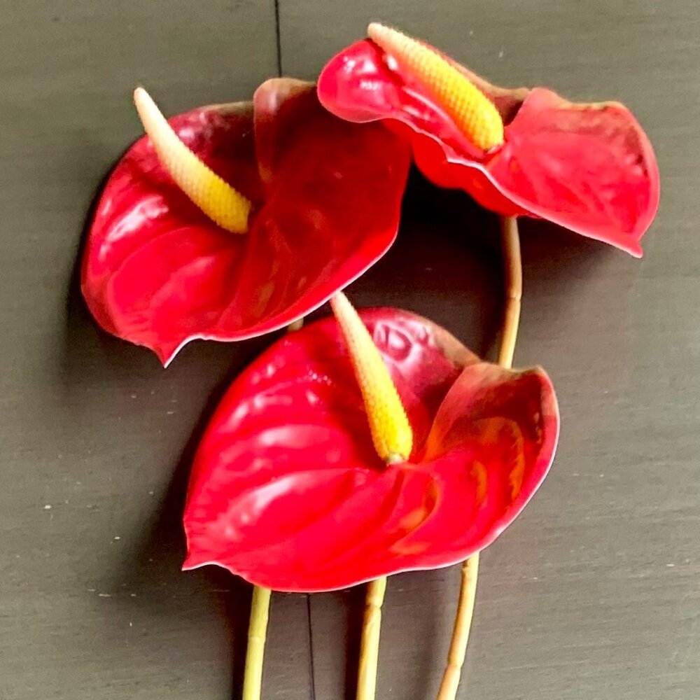 Gorgeous 3 Stems 22.5" Artificial Faux Multicolor Variegated Anthurium Flowers - Picture 4 of 7
